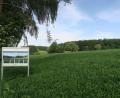 Bild: Verena Baumer/exb
Wer auf der Hirschparkrunde (U5) wandert, kann die Panoramatafel in der Nähe der Finsterhüll bei Zant finden. Der Aussichtspunkt bietet eine gute Gelegenheit, den Blick in die Ferne schweifen zu lassen, die Panoramatafel informiert über das Umfeld.