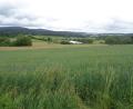 Bild: amö
Von der Staatsstraße nach Schneeberg aus hat man einen guten Blick auf das neue Baugebiet, das der Winklarner Marktrat hier anvisiert hat.