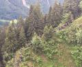 Bild: Landespolizeidirektion Vorarlberg/APA/dpa
Hubschrauber und Bergrettung haben im Kleinwalsertal (Österreich) mehr als 100 in Bergnot geratene Schüler und Lehrer aus Deutschland gerettet.