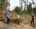 Bild: gru
An dieser Stelle im Wald bei Edelsfeld hat "Emmerlinde" starke Schäden hinterlassen. Vor den Gefahren bei der Aufarbeitung von Sturmholz warnen Johann Renner, Sven Grünert und David Karl.