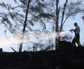 Symbolbild: Matthias Bein / dpa
Um Szenen wie diese zu vermeiden, gibt es in der Oberpfalz in den nächsten Tagen Waldbrandluftbeobachtungen.