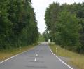 Bild: jr
Auf der Kreisstraße TIR40 von Hofteich nach Leonberg kommt es vermehrt zu Wildunfällen. Jetzt beantragt die Gemeinde als ersten Schritt das Aufstellen von Wildwechsel-Warnschildern.