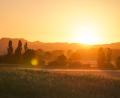 Bild: Nicolas Armer/dpa
Die aufgehende Sonne lässt die umliegende Landschaft in einem orangefarbenen Licht aufleuchten. Auf der gesamten Nordhalbkugel ist es am 21. Juni am längsten hell.