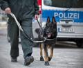 Symbolbild: Jan-Philipp Strobel/dpa
Mit Hunden wurde das Schulgelände in Ebersdorf durchsucht.