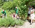 Bild: hcz
Stadtgartenmeister Thomas Huber, Kreisfachberaterin Maria Treiber und Vorsitzender Klaus Fischer (von links) führen Besucher durch den Vereinsgarten des Obst- und Gartenbauvereins.