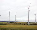 Symbolbild: Matthias Bein/dpa
Windparks auf Weidener Gebiet scheinen bis auf weiteres ausgeschlossen. Im Landkreis nicht. Nach einer gemeinsamen Basis für die Energiewende wird nun gesucht.