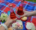Bild: aja
Cheers! Auf ein gemütliches Picknick im Grünen.