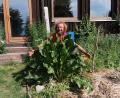 Bild: Portner
Garten- und Landschaftsarchitekt Christoph Dölker will bei der Nature Community sesshaft werden und findet im neu angelegten Nutzgarten ein riesiges Betätigungsfeld.