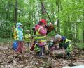 Bild: u
Allerhand zu entdecken gibt es für die Kinder des St.-Wolfgang-Kindergartens während ihrer Waldwoche, die sie in ihrem Waldquartier am Kalvarienberg verbrachten.