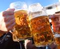 Symbolbild: Felix Hörhager/dpa
Besucher stoßen auf dem Oktoberfest mit Maßkrügen an