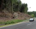 Bild: ll
Die Bayerischen Staatsforsten haben einige faule Fichten an der B 85 auf der Höhe Maximiliansgrotte gefällt.