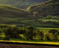 Bild: Nicolas Armer/dpa
Idylle Landleben: Wälder und Felder im leuchtenden Licht der untergehenden Sonne.