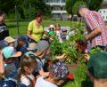 Bild: dob
Die Mitglieder des Obst- und Gartenbauvereins Vohenstrauß, allen voran Barbara Dineiger (Mitte) und Uli Heine (rechts), pflanzen Duftkräuter in das Hochbeet auf dem ehemaligen Brauerei-Würschinger-Areal. Die Buben und Mädchen schnuppern gerne daran.
