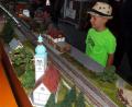 Bild: e
Schön und faszinierend war die Modelleisenbahn der Eisenbahnfreunde JC 90, die 28 Meter lang ist, anzusehen.