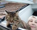 Bild: mzi
Kater Barssik freut sich, in Sulzbach-Rosenberg wieder mit seinem Frauchen Irina Galensovskaya zusammen zu sein.