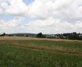 Bild: bjp
Noch wachsen auf der Schwarzleite Korn und Gras. In einigen Jahren sollen hier Häuser stehen. In der Stadtratssitzung verweist Bürgermeister Stangl auf bereits erstellte Unterlagen zur künftigen Erschließung. Von einer "lässigen" Planungsarbeit könne aber keine Rede sein.