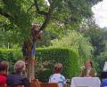 Bild: bjo
Sebastian Thomann trägt einen Text in luftiger Höhe auf einem Magnolienbaum vor.