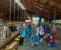 Bild: ubb
Ganz nah waren die Erstklässler aus Tirschenreuth den Kühen aus Pilmersreuth an der Straße. Eine "lila Kuh" war keine dabei, aber das wissen die Landkinder längst.