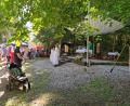 Bild: hzi
Samstag und Sonntag fand die Gottesdienstfeier auf der Altarinsel neben der Wallfahrtskirche statt. Der Ablauf an den Festtagen war von bestem Sommerwetter begletet.