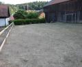 Bild: fla
Mit viel Eigeninitiative gehen die Dorfbewohner an die Spielplatzneugestaltung heran. In Eigenleistung wird der Platz hergerichtet und mit der Einzäunung begonnen, die Spielgeräte sind bereits bestellt.