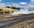 Bild: Thomas Appelt
Die Einsatzkräfte haben verhindert, dass der Brand auf den Wald überschlägt.
