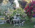 Bild: Gerlinde Hecht
Der dicht umwucherte Rosenbogen im Romantik-Garten von Gerlinde Hecht zieht regelmäßig bewundernde Blicke auf sich.