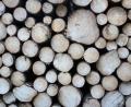 Symbolbild: jut
Die Baugenehmigung für einen Holzlagerplatz bei Eslarn ist im Marktgemeinderat umstritten. In der jüngsten Sitzung stimmte eine Mehrheit dafür, die bislang ablehnende Haltung aufzugeben. Das Landratsamt Neustadt/WN will die Genehmigung unter bestimmten Auflagen erteilen.