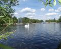 Bild: rn
Der Rußweiher.