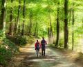 Symbolbild: Jan Becke/exb
Die Oberpfalz, und auch der Landkreis Amberg-Sulzbach, haben eine Menge zu bieten. Um diesen Reichtum an Kultur, Umwelt und Natur an Einheimische und Touristen weiterzugeben, sollen neue Heimat- und Kulturführer ausgebildet werden.