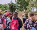 Bild: jzk
„Sind Vogelbeeren giftig?“, fragte Kräuterführerin Cornelia Müller die Schülerinnen und Schüler der Grundschule Kulmain bei der Kräuterwanderung.