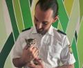 Bild: Polizei/Polizeipräsidium Mittelfranken/dpa
Ein junges Katzenbaby ist in Mittelfranken aus einem Auto gerettet worden