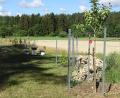 Bild: Christian Maier/exb
Obstbaumwiese des OGV Michelfeld