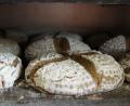 Bild: Tanja Kühlein
Ob zum Frühstück oder Abendessen: Was gibt es besseres als eine Scheibe frisches Brot? Wie man selbst gutes Brot backen kann, zeigt der Kurs "Erlebnisbrotbacken" von Oberpfalz-Medien.