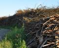 Bild: dob
So sollte ein Holzpolter zur ganzjährigen Abfuhr für das Biomasseheizwerk bereitgestellt werden. Der Feinanteil sollte auch nicht zu hoch sein.