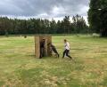 Bild: mis
Vorsitzender Jürgen Schwarz und seine Stellvertreterin Anja Hölzl beim Training mit einem Schäferhund.
