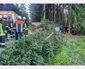 Bild: rw
Ein Auto kam am Samstagabend bei Lauterbach (Marktgemeinde Mähring) von der Fahrbahn ab und prallte gegen einen Holzstapel und einen Baum. Der Fahrer musste von der Feuerwehr aus dem Wrack befreit werden.