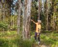 Bild: Susanne Forster
Revierförster Matthias Gibhardt zeigt bei einer Tour durch das Falkenberger Forstgebiet diesen Biotopbaum, an dem stellenweise die Rinde absteht oder ganz fehlt. Deshalb gibt es schmale Schlitze, in denen zum Beispiel Fledermäuse Unterschlupf finden. Auch verschiedene Insekten fühlen sich in dem Gehölz wohl.
