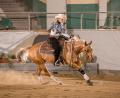 Bild: Tom Hautmann/exb
Die Hot Summer Show der NRHA ist in dieser Woche in Kreuth.