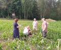 Bild: Carolin Schrembs/exb
Der Maschinenring Tirschenreuth empfing die Ökologische Wissensakademie (ÖWA) aus Hamburg. Die Delegation besichtigte Mitgliedsbetriebe im Raum Tirschenreuth, die bereits die "regenerative Landwirtschaft" leben.