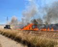 Bild: lei
Das Feuer wütete auf Ackerflächen zwischen Edelsfeld und Niederärndt.