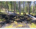 Bild: Feuerwehr Kemnath/exb
In Grünberg bei Brand hat es in einem Wald gebrannt.