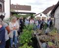 Bild: jhö
Von der Straße her nicht sonderlich auffällig, verbirgt sich im Garten der Familie Friedrich ein wahres Paradies. Die Gartenbesitzer Irene und Herbert Friedrich führten die begeisterten Gäste aus dem Klosterdorf durch ihr grünes Wohnzimmer.