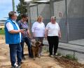 Bild: gf
Vor den neuen Hunde-Außenzwingern unterhalten sich der Präsident des Deutschen Tierschutzbundes, Thomas Schröder (links), Tierheimleiterin Jenny Caudill, die bayerische Landesvorsitzende Ilona Wojahn und die Vorsitzende des Amberger Tierschutzvereins, Sabine Falk.