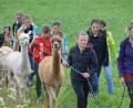 Archivbild: dob
Die fünf plüschigen Alpakahengste standen bei der OWV-Wanderung im vergangenen Jahr im Mittelpunkt. 25 Aktionstage sind auch heuer wieder im Kinderferienprogramm. Mit dabei: „Eine besondere Viecherei bei Reger“ in Böhmischbruck.