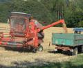 Bild: jr
Erntearbeiten im Landkreis Tirschenreuth bei Großbüchlberg.