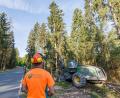 Bild: Martin Hertel/exb
Manfred Schwanitz, Forstwirtschaftsmeister beim Forstbetrieb Fichtelberg, überwacht die Holzfällung im Rahmen der Moorrenaturierung entlang der Straße zwischen Neubau und der B 303.