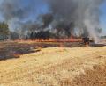 Bild: Roland Löb/exb
Auf breiter Front rollte das Feuer über das erst teilweise abgeerntete Getreidefeld auf den nahen Wald zu.