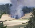 Bild: lei
Bei Riglashof in der Gemeinde Hirschbach stand am Montagnachmittag ein Getreidefeld in Flammen. Fast zeitgleich brannte es auch in Nitzlbuch bei Auerbach.