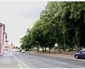 Bild: bjp
Unübersichtliche Linkskurve, Bahnschranke und dazu künftig auf der Fahrbahn haltende Busse: Die vorgeschlagene Neugestaltung der Park-Seite der Bahnhofstraße, bei der ein Großteil der Seitenbucht zugunsten eines Rad- und Fußwegs beseitigt und die Bushaltestelle auf die Fahrbahn verlegt werden soll, könnte nach Meinung einiger Stadträte Verkehrsbehinderungen und Unfallgefahren heraufbeschwören.