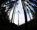 Symbolbild: Oliver Berg/dpa
Bei der Energiewende sind mit Blick auf Windräder "alle und jedes Waldgebiet gefragt", findet Grünen-Bundestagsabgeordneter Anton Hofreiter. Neualbenreuths Bürgermeister Klaus Meyer sieht das anders.